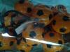 Picture 3:Feest oranje voetballampjes