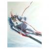 					
					Overstock - Auction - Sportlitho's " Skien " gelim/gesign					
				