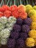 					
					Groothandel - Kunstbloemen, 48 Stuks Allium of Sierui in 6 kleuren					
				