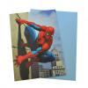 					
					Overstock - Wenskaart Spiderman met blauwe envelop 17,5 cm					
				